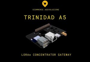 Read more about the article Trinidad A5